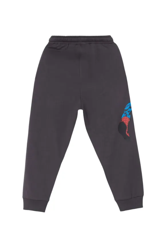 Spider-Man Printed Jogger Track Pants for Boys – Charcoal Grey – view 2